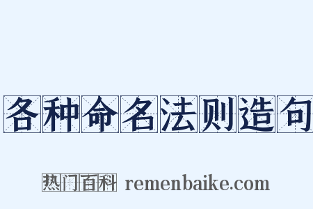 各种命名法则造句是什么意思的图片